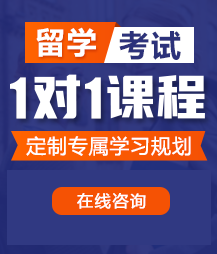 抽插视频网站1留学考试一对一精品课